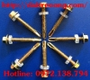 vit-ban-ton-4 - ảnh nhỏ  1